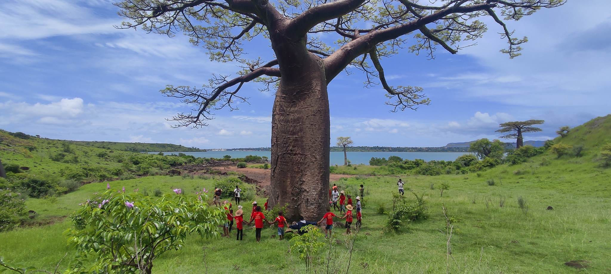 baobab enfants